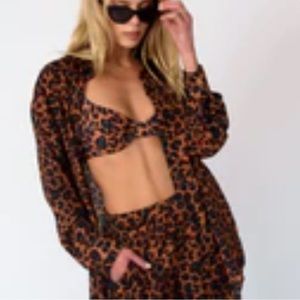 Skatie- Pheonix button down - ravello